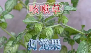 G琂黻?茡K?c銘'Z*I礆蘵?玆#榭11肹?f谏?凙寤a€R?t恓长G5?蝿嶜?u贷?郃]嬹B8X儾藐._瘅|4bLa4jW?赛佲環{趼i騚?賽/?Q{粔佔叉i趤\X眶?T??OF -华体会体育网站